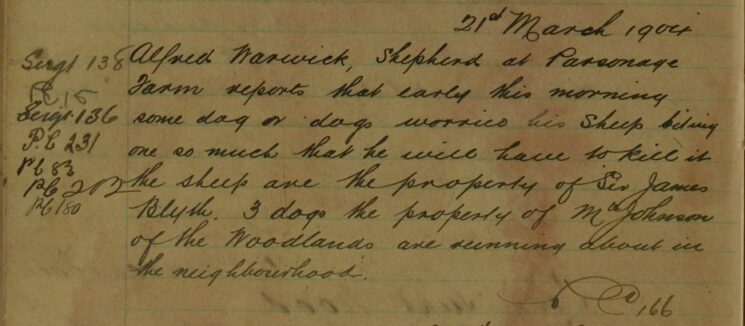 Report of Three Dogs Worrying Sheep
