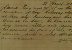 Complaint About Boys Throwing Stones At Him