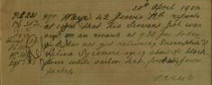 Servant Girl Missing