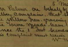 Complaint About Damage to Willow Trees at The Town Meads