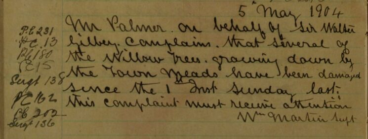 Complaint About Damage to Willow Trees at The Town Meads