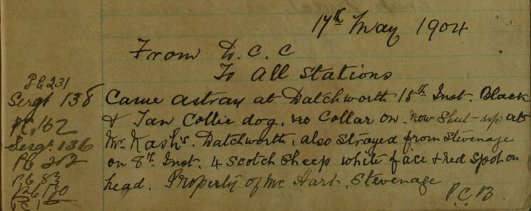 From D.C.C. - Stray Collie Dog at Datchworth and 4 Sheep Strayed From Stevenage