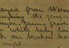 Cow Strayed From Warren's Farm, Braughing