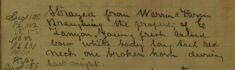 Cow Strayed From Warren's Farm, Braughing