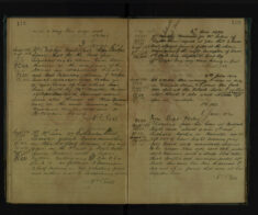 Pages 113-114