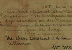 Complaint About boys Standing On the Station Bridge and Spitting On People Passing Under The Bridge