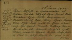 Complaint About A Young Boy Throwing Stones