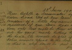 Complaint About A Young Boy Throwing Stones