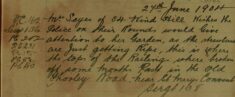 Request For Police To Check On Mrs Layes' Garden - to Prevent Her Strawberries Being Stolen