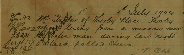 Five Black Polled Steers Lost From A Meadow Near The Green Man