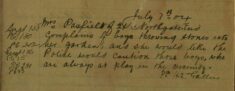 Complaint About Boys Throwing Stones Into Her Garden