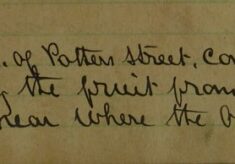 Complaint About Fruit Being Stolen From A Garden At South Mill