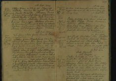 Pages 195-196