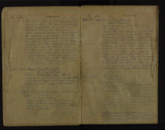 Pages 029-029