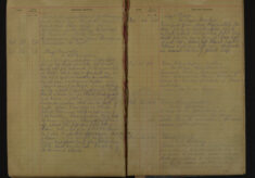 Pages 106a-106a