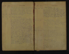 Pages 106a-106a