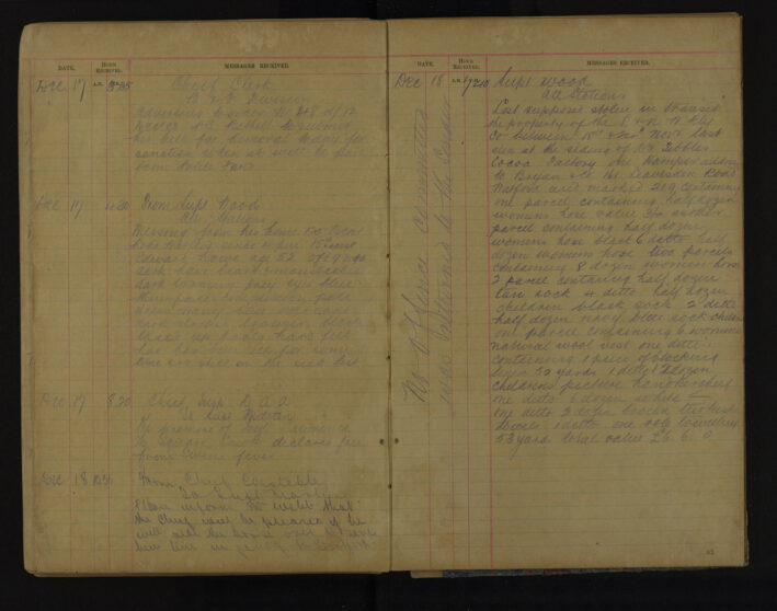 Pages 113-113