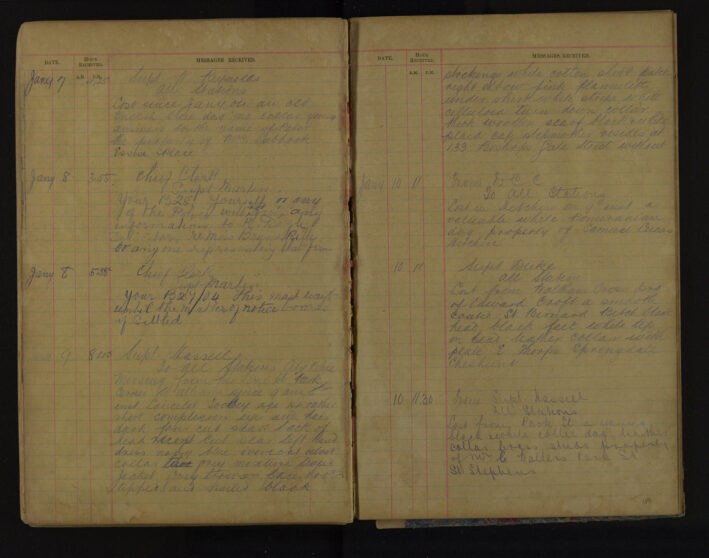 Pages 119-119