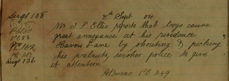 Complaint About Boys Causing An Annoyance By Shouting And Picking His Walnuts