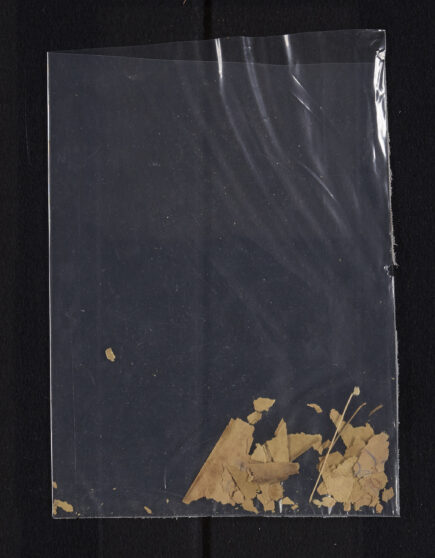 Pages 000a-Fragments
