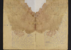 Pages 006-006