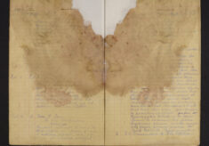 Pages 007-007