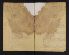 Pages 007-007