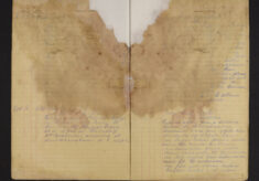 Pages 008-008