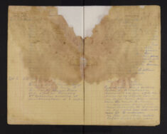 Pages 008-008