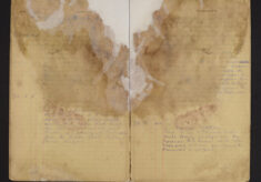Pages 010-010