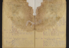 Pages 019-019