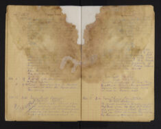 Pages 019-019