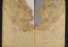 Pages 025-025
