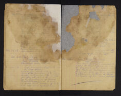 Pages 025-025