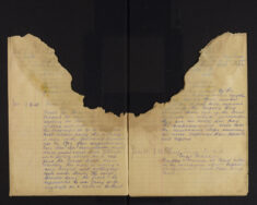 Pages 028-028