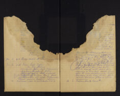 Pages 029-029