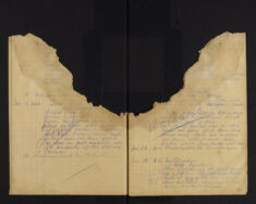 Pages 031-031