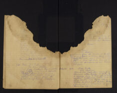 Pages 041-041