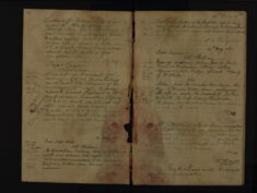 Pages 029-030