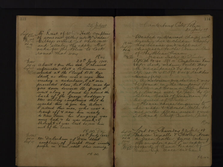 Pages 113-114