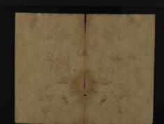 Pages 195-196