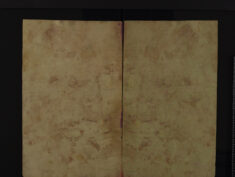 Pages 201c-Inside cover