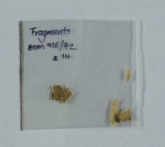 Pages 000a-Fragments