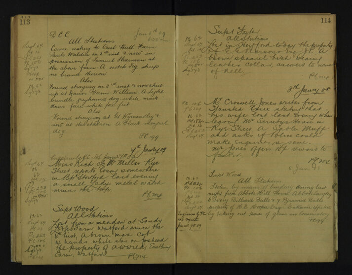 Pages 113-114