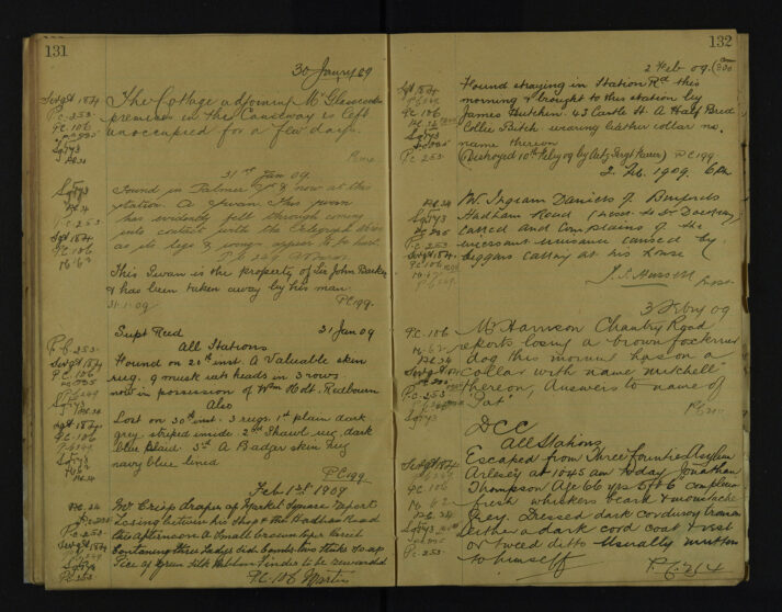 Pages 131-132