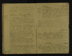 Pages 163-164