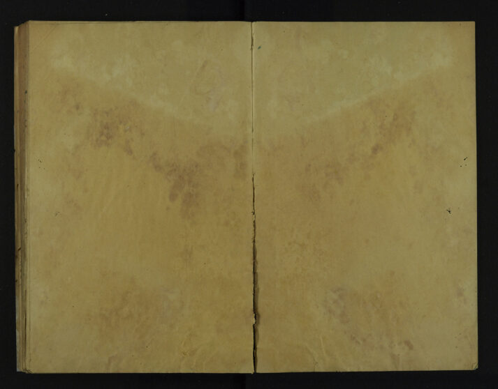 Pages 203a-Inside cover