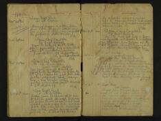 Pages 196-197
