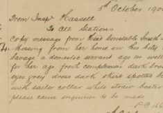Missing Servant Girl
