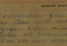 Suspected Stolen Horse And Cart continued